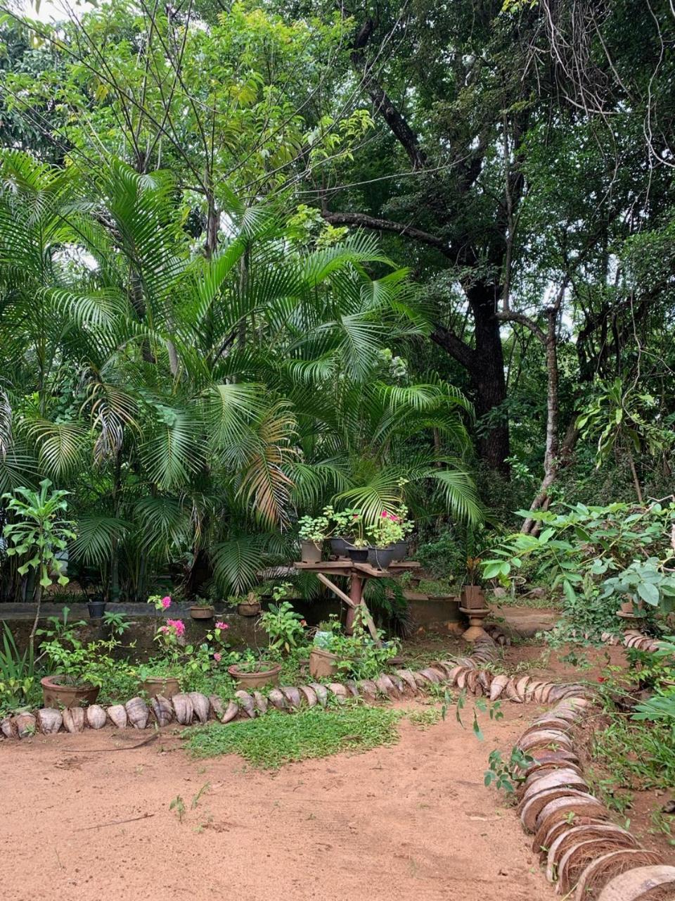 Manju Homestay 시기리야 외부 사진