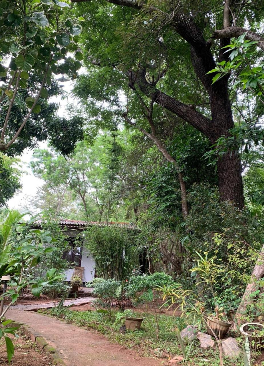 Manju Homestay 시기리야 외부 사진