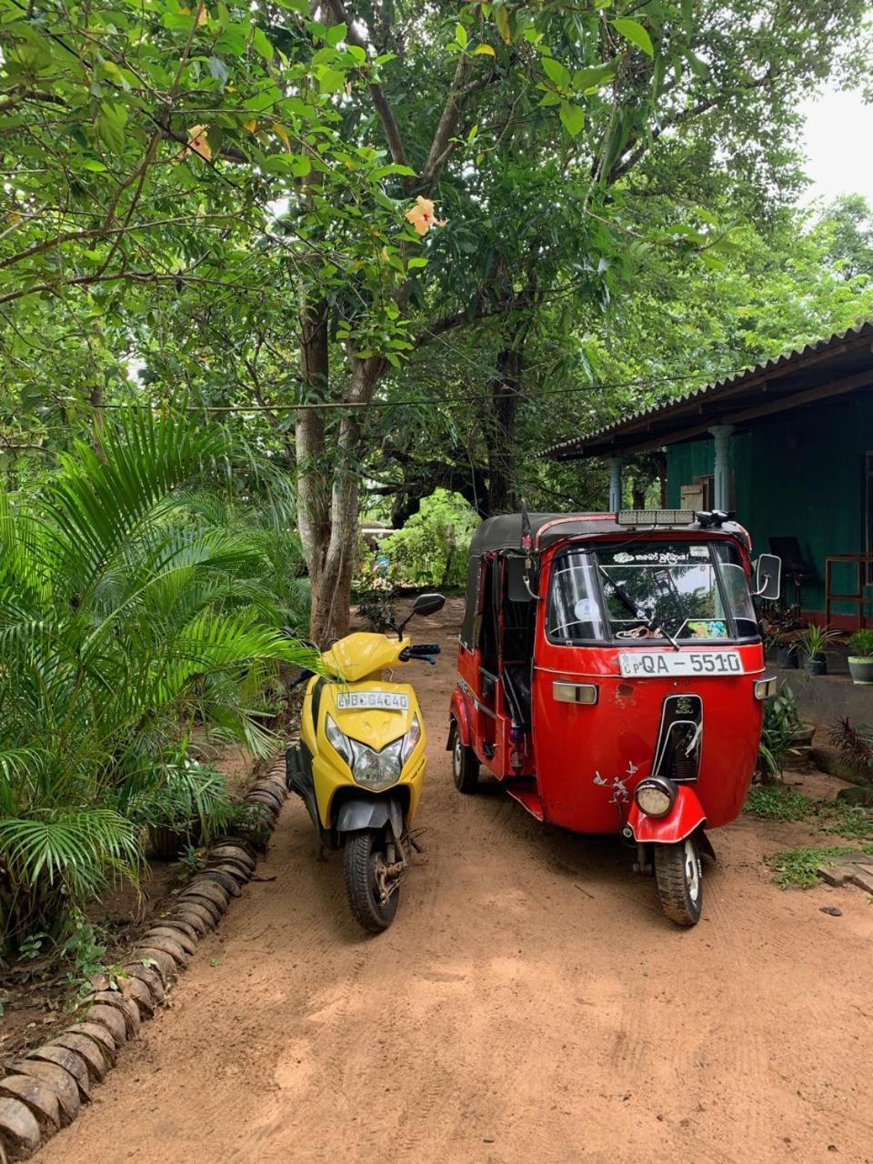 Manju Homestay 시기리야 외부 사진