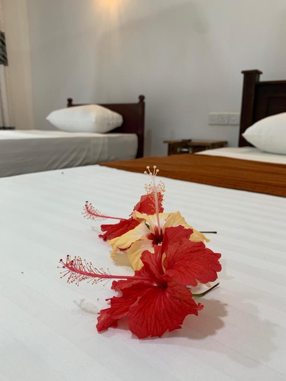 Manju Homestay 시기리야 외부 사진