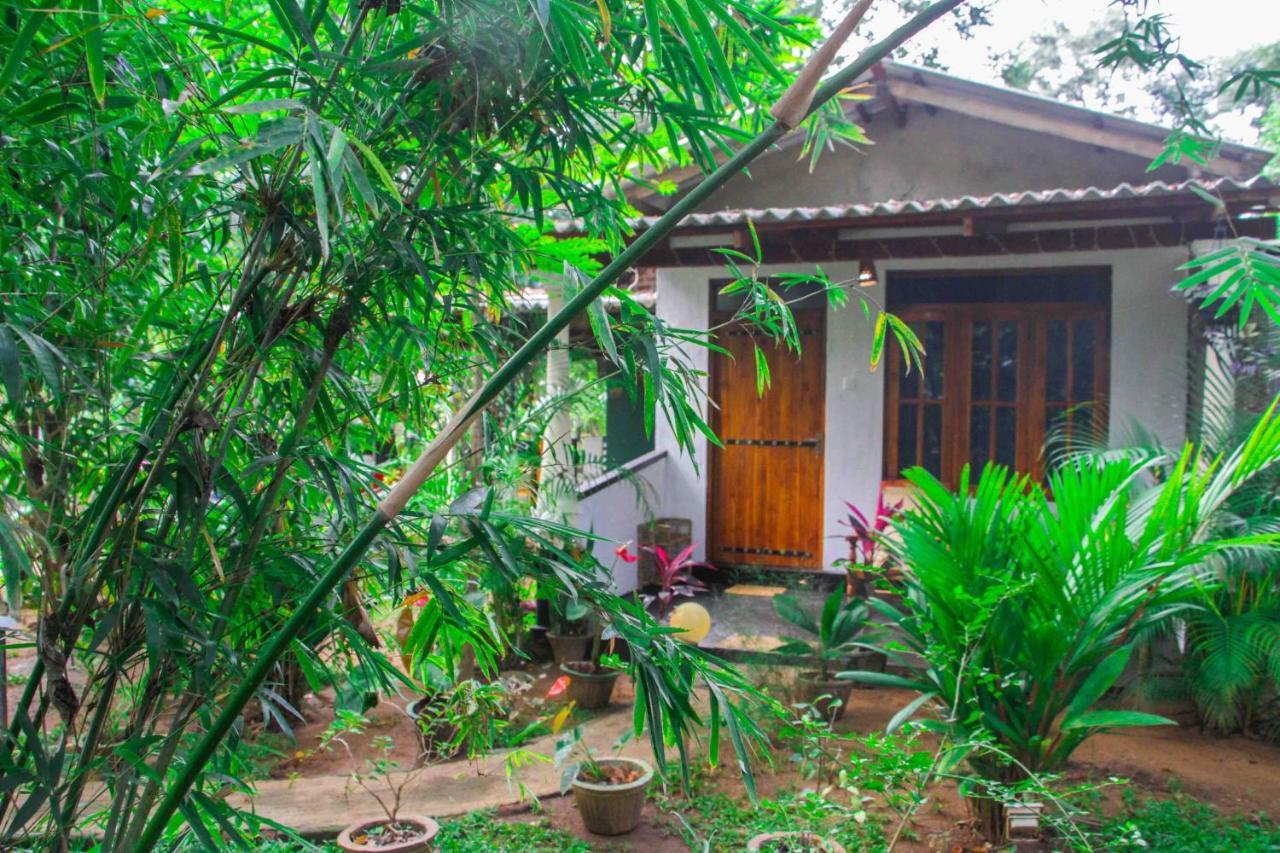 Manju Homestay 시기리야 외부 사진